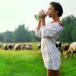 Что такое молочный белок и в каких продуктах содержится