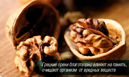 Польза грецких орехов