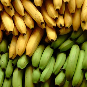 Полезные свойства банана, кБЖУ и польза для спорта