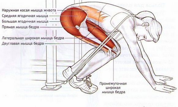 Ленточный эспандер упражнения для мужчин дома