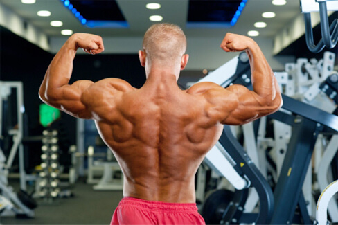 как накачать мышцы спины